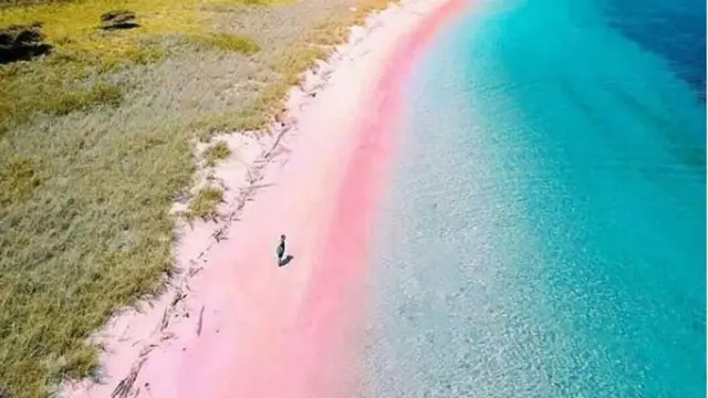 Pantai Pink