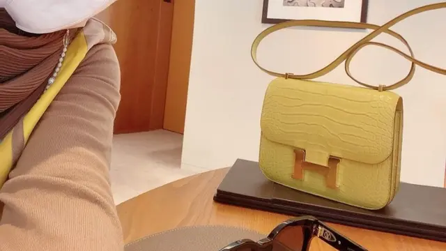 Nursam Jhonlin - Hermes Constance 23 Bag Mimosa M9 Crocodile SHW