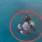 Misteri Daratan Baru di Dekat Anak Krakatau