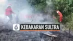 kebakaran savana thumbnail