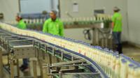 Pekerja memantau jalur produksi susu kedelai di sebuah pabrik di Nanning, Guangxi, China, Selasa (12/3). Produksi industri China turun ke level terendah dalam 17 tahun terakhir. (STR/AFP)