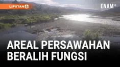 LIMA TAHUN BENDUNGAN JEBOL, SERIBU HEKTAR LEBIH AREAL PERSAWAHAN TERANCAM