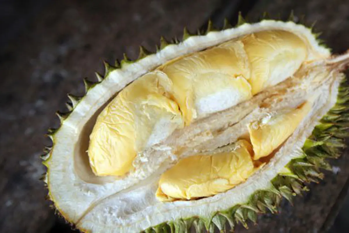 Durian, rajanya buah-buahan/copyright: thinkstockphotos.com
