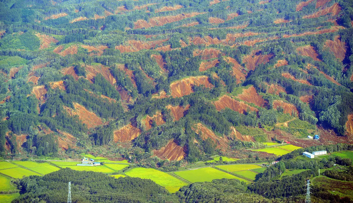 Pemandangan tanah longsor setelah gempa mengguncang Kota Atsuma, Prefektur Hokkaido, Jepang, Kamis (6/9). Perusahaan listrik, Hokkaido Electric, menyebut aliran listrik terputus bagi 2,95 juta rumah. (JIJI PRESS/AFP)