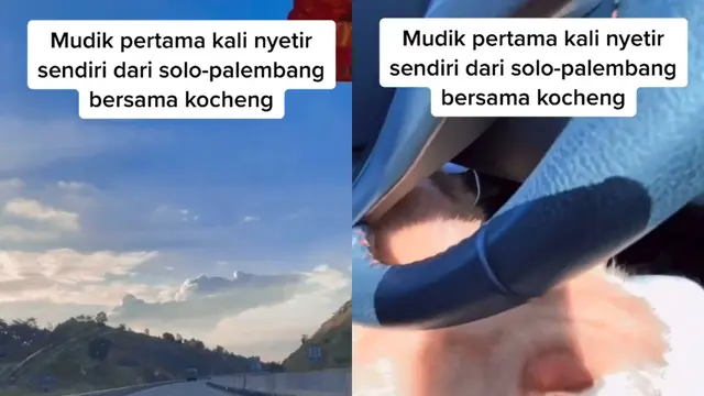 Momen kebersamaan pemudik bersama hewan peliharaannya selama mudik ke Palembang.