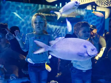 Anak-anak melihat ikan saat mengunjungi pameran "Keindahan Bawah Laut" (Underwater Beauty) di Shedd Aquarium di Chicago, Amerika Serikat (17/2/2020). Shedd Aquarium  memiliki koleksi 32.000 ekor binatang dan menarik sekitar 2 juta pengunjung setiap tahun. (Xinhua/Joel Lerner)