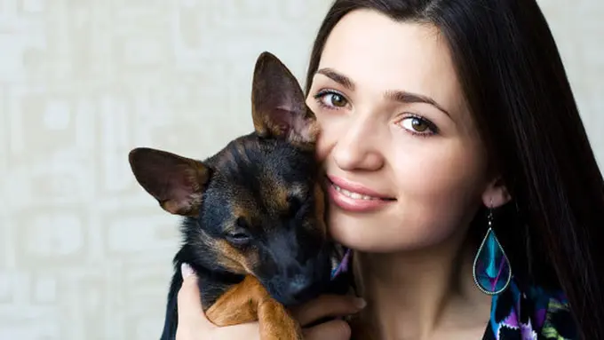 Foto : copyright shutterstock.com