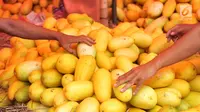 Pedagang menunjukan timun suri ukuran besar di Pasar Induk, Kramat Jati, Jakarta, Senin (5/7). Timun suri biasa digunakan sebagai menu berbuka puasa warga untuk dicampurkan dengan minuman segar. (Liputan6.com/Yoppy Renato)