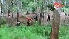 liputan6