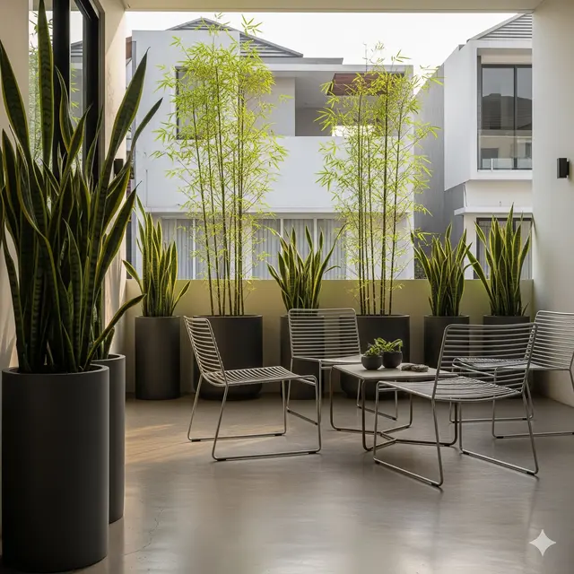 Teras Urban Modern: Fungsional untuk Kota