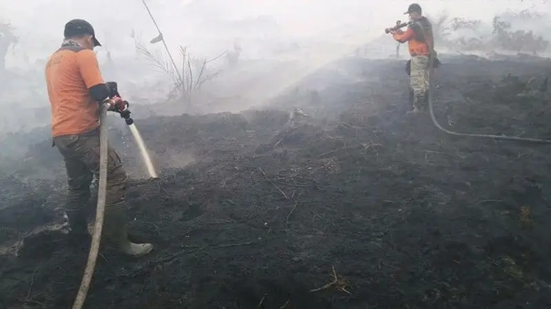 Petugas berjibaku memadamkan kebakaran lahan agar tak menimbulkan bencana kabut asap.