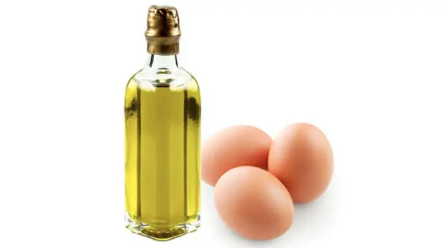 Telur dan Minyak Zaitun