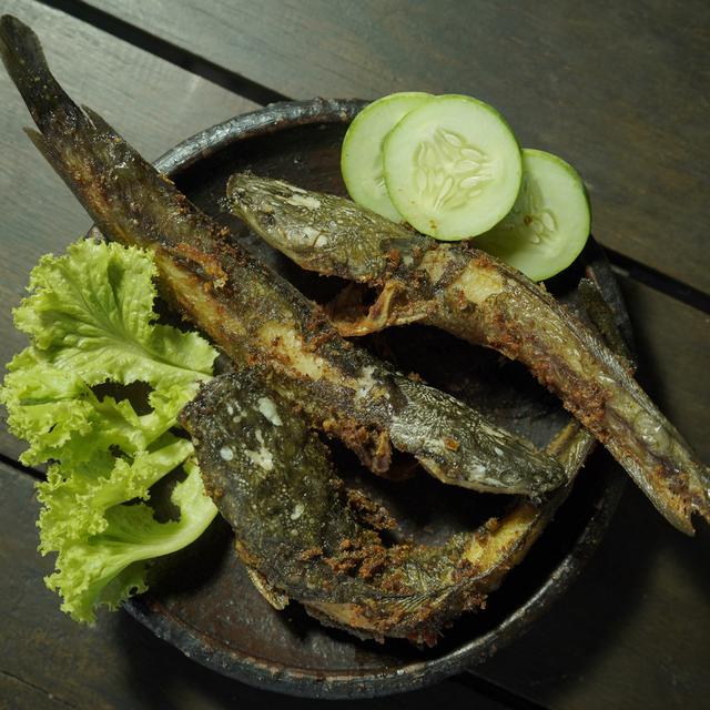 Tips Menggoreng Ikan Lele Agar Minyak Tidak Meletup Dan Lengket