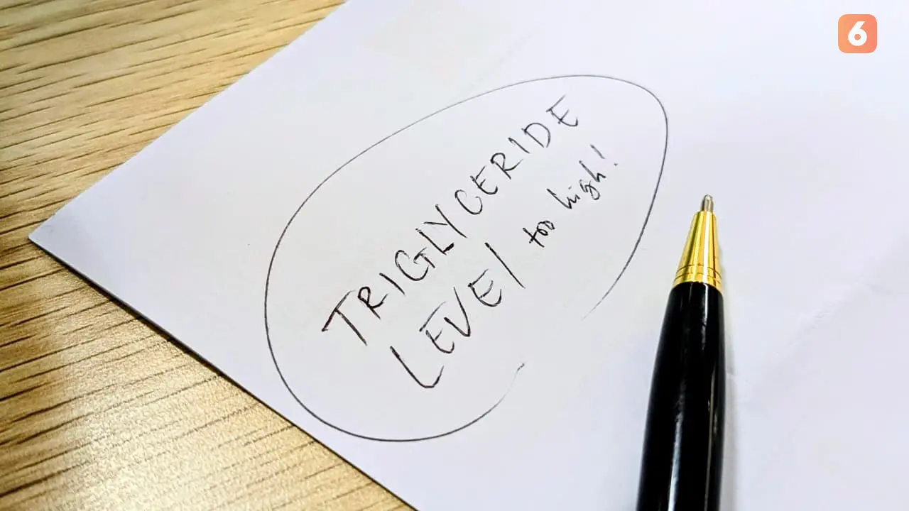 Trigliserida Beda dengan Kolesterol, tapi Sama-Sama Bahaya Jika Kadarnya Terlalu Tinggi