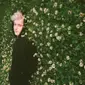 Troye Sivan (Instagram/ troyesivan)