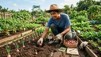 Cara Menanam Bawang Merah untuk Pemula, Panduan Lengkap dari Bibit hingga Panen