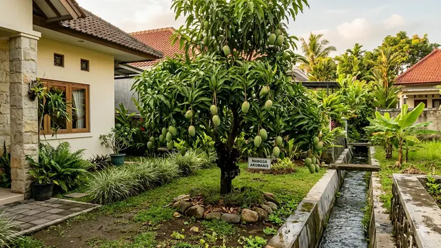 Jenis Pohon Buah yang Cocok Ditanam di Samping Rumah Dekat Parit.