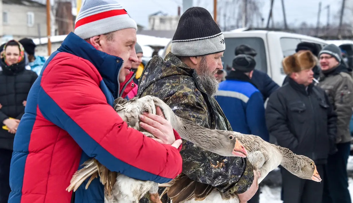 Dua pria membawa angsa mereka selama pertarungan angsa tradisional di desa Kalikino sekitar 450 km di luar Moskow, Rusia (17/3). (AFP Photo/Vasily Maximov)