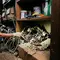 7 Cara Mengetahui Sumber Bau Tikus yang Tersembunyi di Rumah, Cek Area yang Sering Terlewat