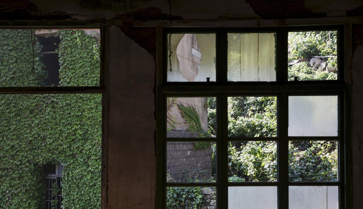 Sebuah bangunan yang tertutup tanaman terlihat dari jendela yang pecah di sebuah desa yang sudah ditinggalkan penghuninya, di Houtouwan, pulau Shengshan, China, 26 Juli 2015. Desa ini dulunya dihuni lebih dari 2.000 nelayan. (REUTERS/Damir Sagolj)