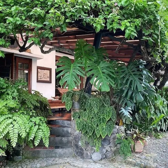 Taman Rindang dengan Atap