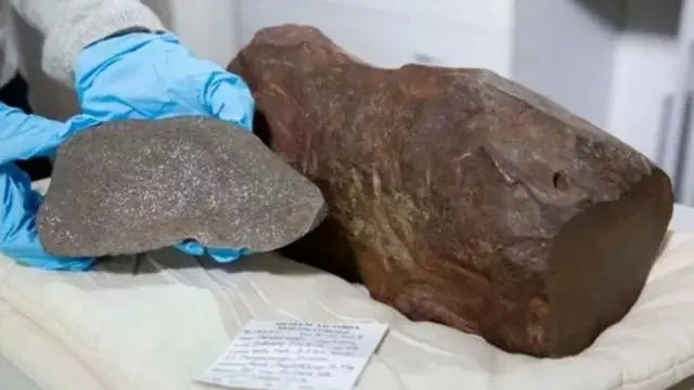Dikira Emas, Ternyata Pria Ini Temukan Batu Meteroit Berusia 4,6 Miliar Tahun