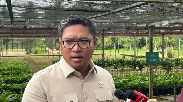 Wamentan Pamer Cadangan Beras Terbesar Sepanjang Sejarah