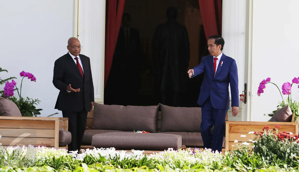 Presiden Jokowi mempersilahkan Presiden Republik Afrika Selatan Jacob Zuma saat melakukan pertemuan di Istana Merdeka Jakarta, Rabu (8/3). (Liputan6.com/Angga Yuniar)