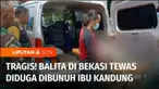 Seorang anak laki-laki berusia 5 tahun di Kota Bekasi, Jawa Barat, ditemukan tewas mengenaskan di lantai dua di sebuah rumah di perumahan elite Summarecon, Kamis siang. Polisi yang melakukan proses identifikasi menemukan 20 luka tusukan di tubuhnya, ...