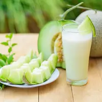 ilustrasi melon/rukawajung/Shutterstock