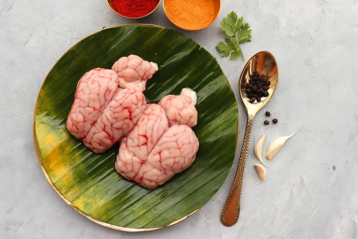 cara mengolah otak sapi kambing resep