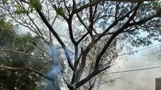 Gara-Gara Bakar Sampah Sembarangan, Api Melahap Warung dan Mobil di Tangerang