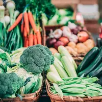 Ilustrasi sayuran (Dok.Unsplash)