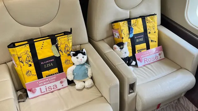 Interior Mewah Pesawat Korean Air untuk Tur Dunia BLACKPINK, Ada 4 Kamar Tidur di Dalamnya