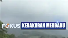Kebakaran di lereng Gunung Merbabu kini sudah mencapai 250 hektar.