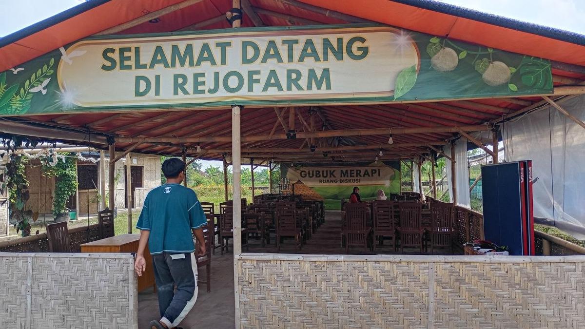 7 Kesalahan Petani yang Bikin Selalu Rugi, Rejo Farm Yogyakarta Ungkap Akar Masalahnya