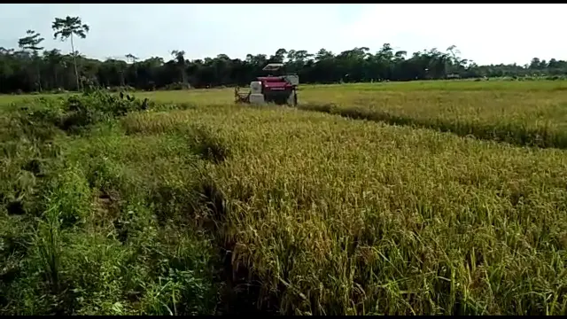 Pemanfaatan KUR Pertanian