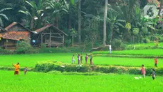 Anak-anak bermain layang-layang pada areal sawah di kawasan Sukamakmur, Bogor, Jumat (15/07/2022). Mereka menghabiskan waktu bermain saat mengisi waktu libur panjang  sekolah.
(merdeka.com/Arie Basuki)