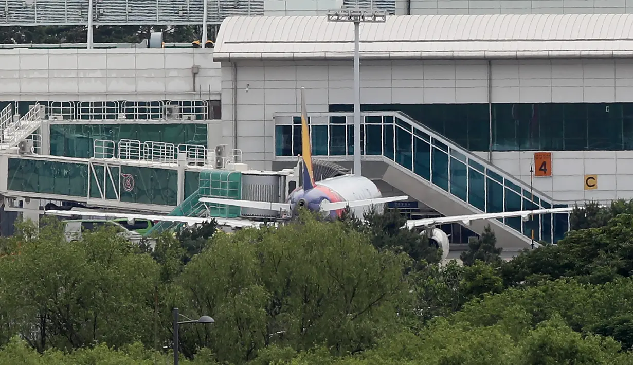 Pesawat Airbus A321 Asiana Airlines itu sedang dalam penerbangan dari pulau Jeju, di lepas pantai selatan Korea Selatan, ke Daegu. (YONHAP / AFP)