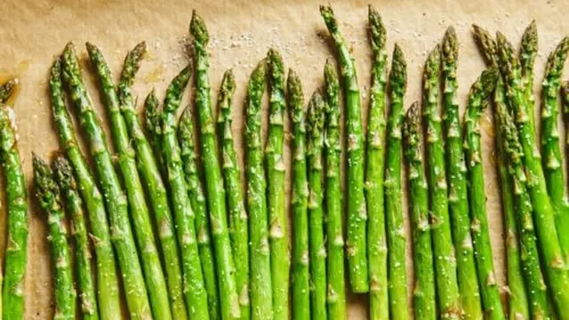 Sayuran dengan Kandungan Protein Tertinggi yang Bisa Ditanam Sendiri