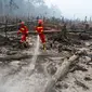 Petugas pemadam kebakaran berusaha mematikan sisa titik api yang masih menyala di cagar alam biosfer Giam Siak Kecil di Riau (3/9/2015). Kebakaran hutan dan lahan di Riau dipastikan masih akan berlangsung lama. (AFP PHOTO/ALFACHROZIE)