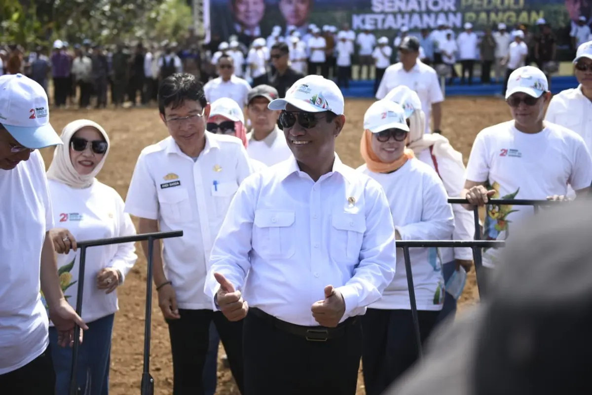 Mentan Amran dan DPD RI Tanam Jagung Serentak, Dorong Percepatan Swasembada Pangan