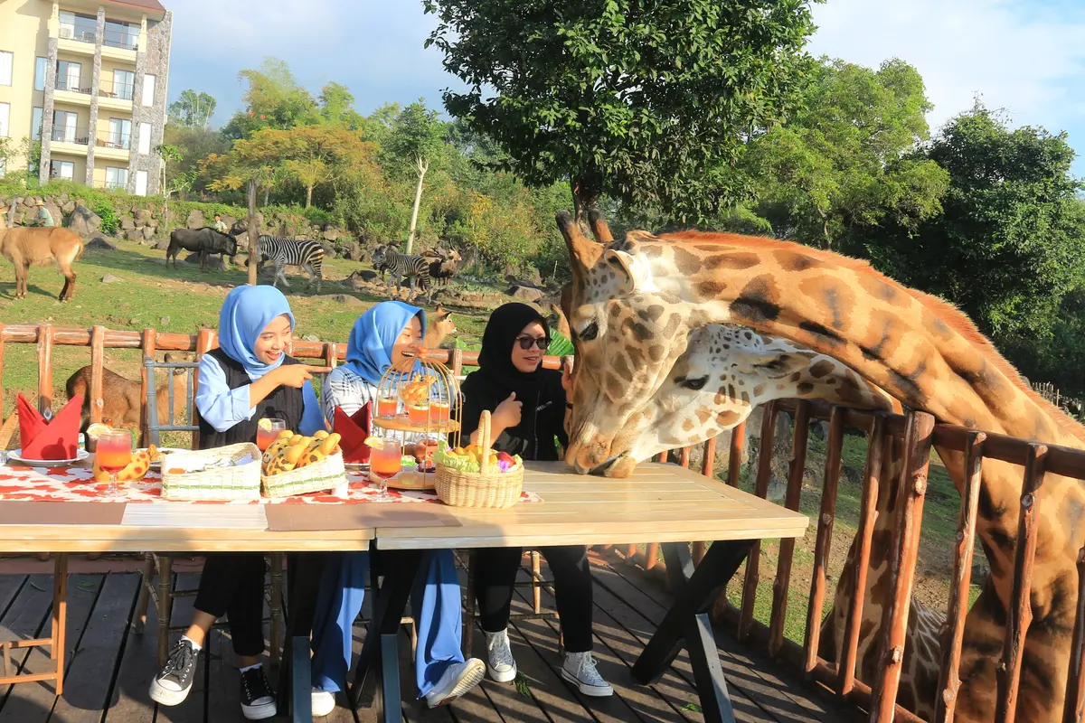 Taman Safari Prigen Baobab Safari Resort