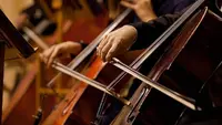 Ilustrasi pemain orkestra. (iStockphoto)