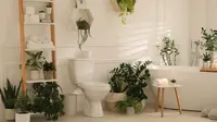 Pengharum Toilet Ampuh Usir Bau Tak Sedap yang Mengganggu, Ini Tips Memilih dan DIY-nya!