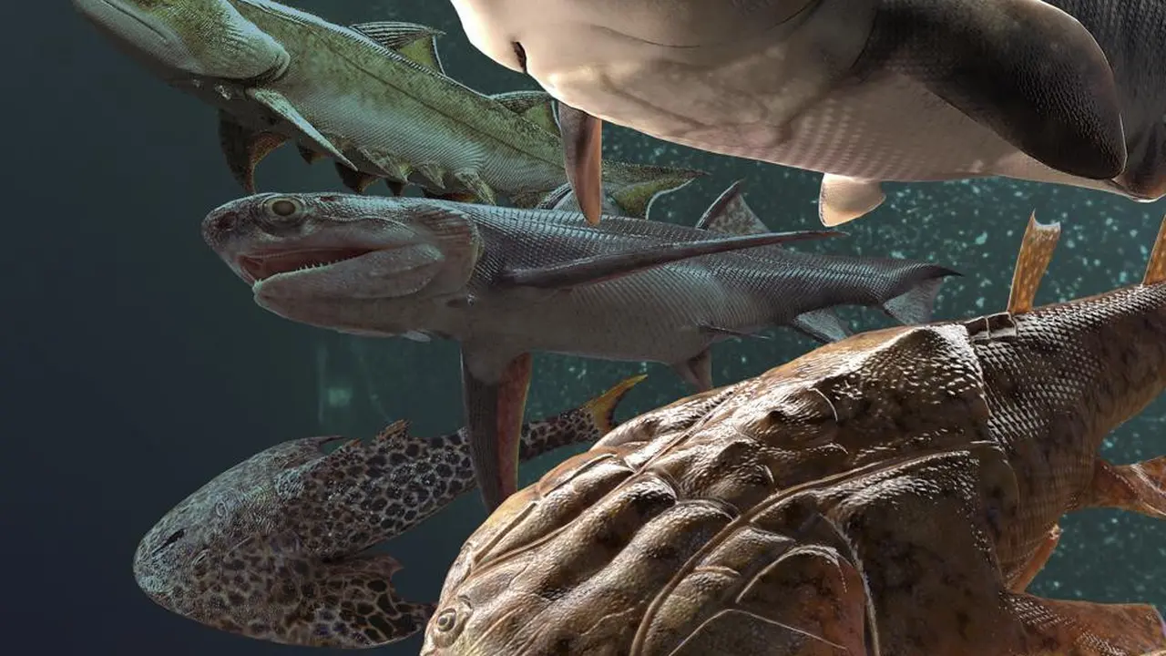 Fosil Ikan dengan Gigi Tertua Ditemukan di China.