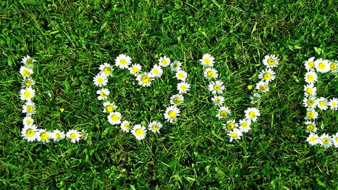 (c) Shutterstock.com