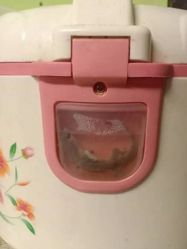 6 Fungsi Lain Rice Cooker Ini Nyeleneh, Bikin Geleng Kepala