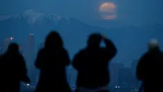 Orang-orang menyaksikan fenomena supermoon atau bulan super dengan latar belakang pusat kota Los Angeles dari Kenneth Hahn Park, Minggu (20/1). Supermoon akhir pekan ini adalah yang pertama terjadi pada tahun 2019 ini. (AP/Ringo H.W. Chiu)