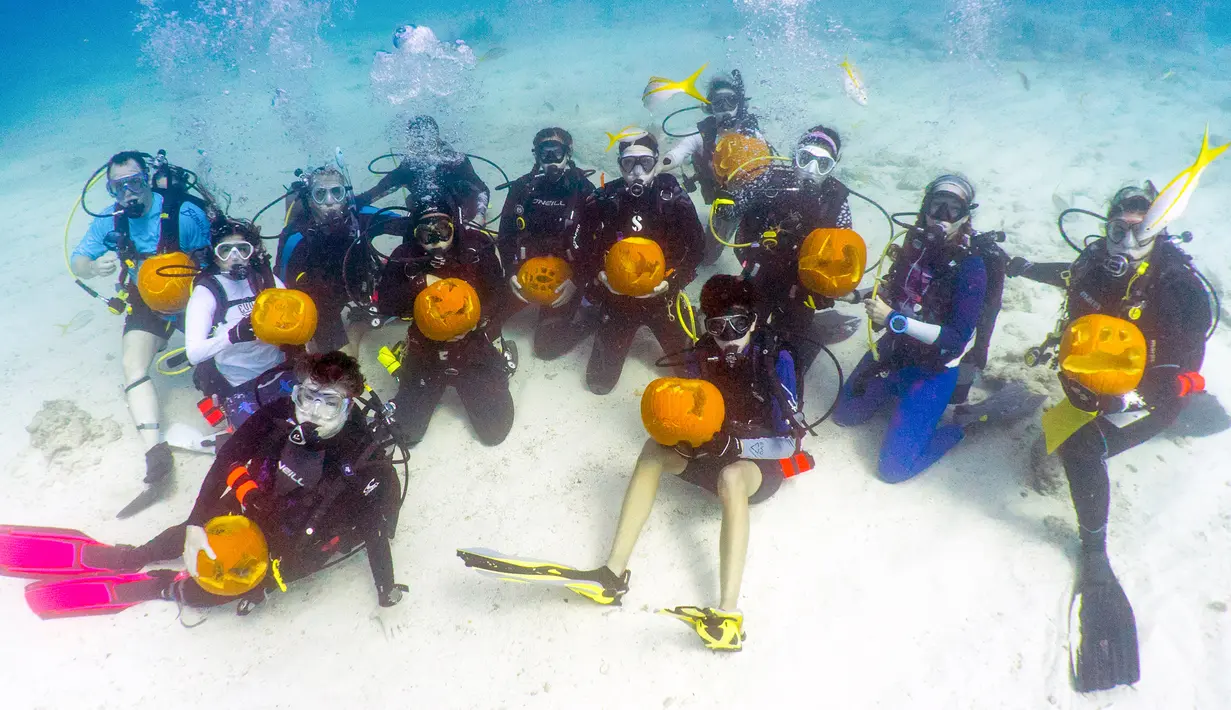 Para penyelam memperlihatkan labu ukiran mereka saat Kontes Mengukir Labu Bawah Air di Cagar Alam Laut Nasional Florida Keys, Minggu (14/10). Kontes menyambut Halloween ini berhadiah trip dive bersama Florida Keys. (Frazier Nivens/various sources/AFP)